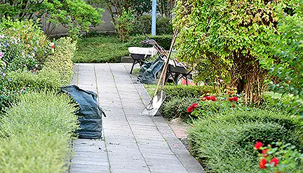 garten-landschaftsbau-garten