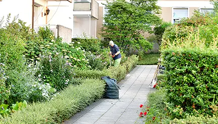 garten-landschaftsbau-vorgarten